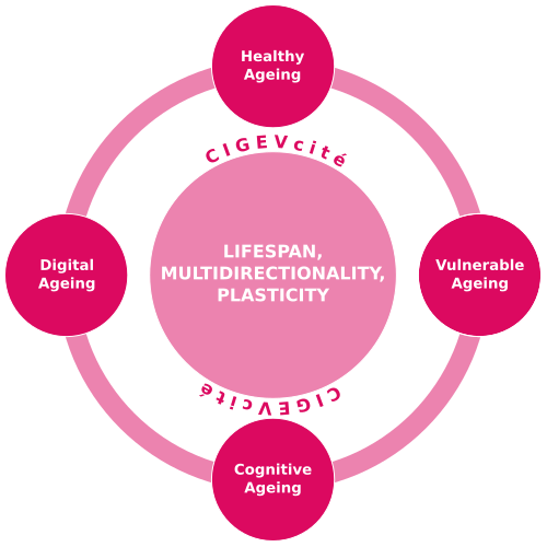 Schéma pôle gérontologie